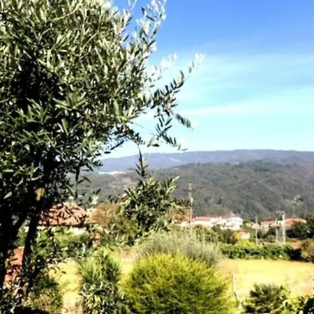 Holidays “villa Familia Silva”
