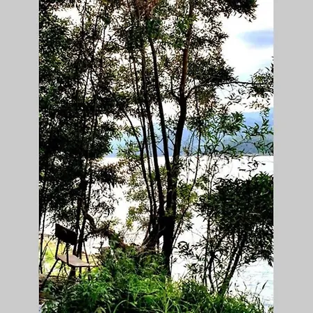 Holidays “villa Familia Silva” Villa Ribeiradio